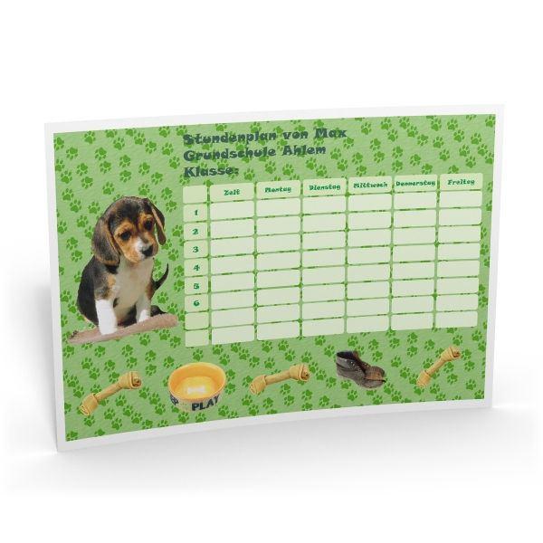 Stundenplan Welpe